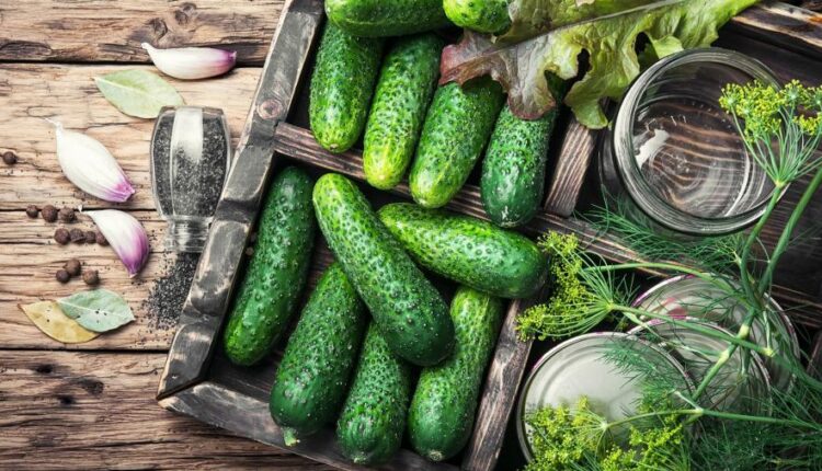 سری سی و دوم بک گراند های متنوع با کیفیت   Wallpapers