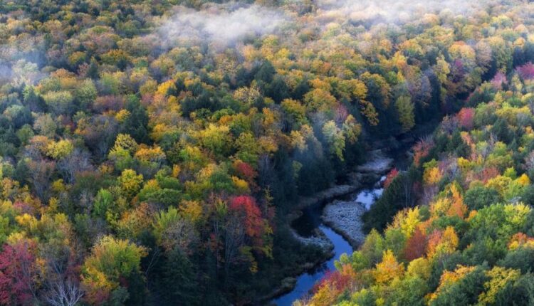 سری سی و دوم بک گراند های متنوع با کیفیت   Wallpapers