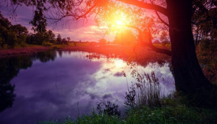 سری سی و دوم بک گراند های متنوع با کیفیت   Wallpapers