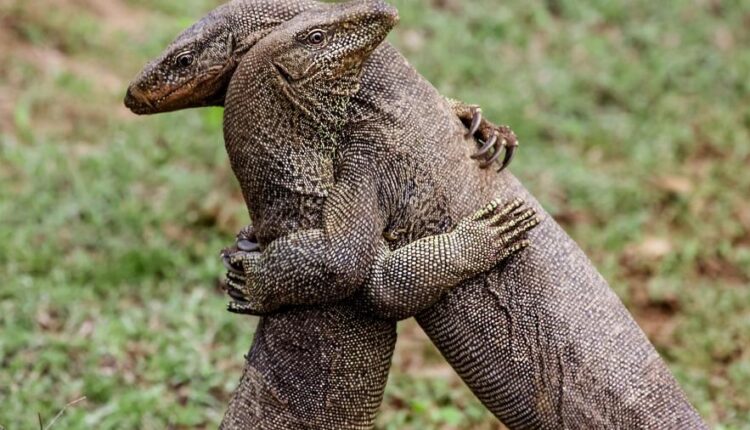 سری سی و دوم بک گراند های متنوع با کیفیت   Wallpapers