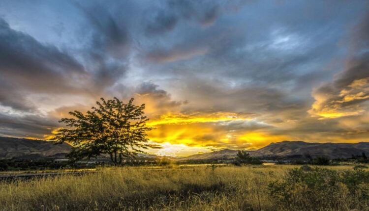 سری سی و سوم والپیپر های متنوع با کیفیت   Wallpapers