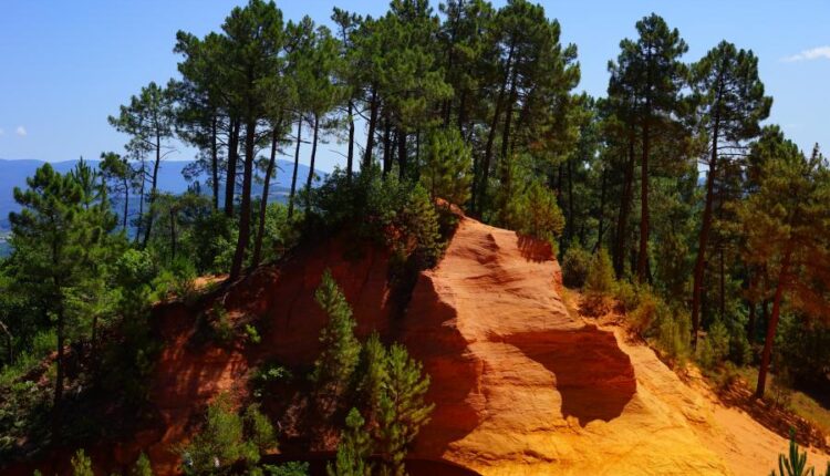 سری سی و سوم والپیپر های متنوع با کیفیت   Wallpapers