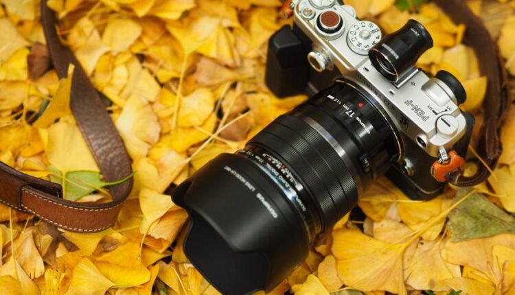 سری سی و سوم والپیپر های متنوع با کیفیت   Wallpapers