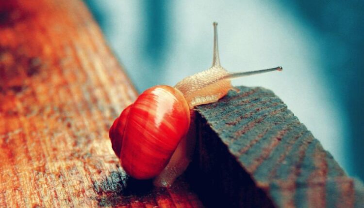 سری سی و سوم والپیپر های متنوع با کیفیت   Wallpapers