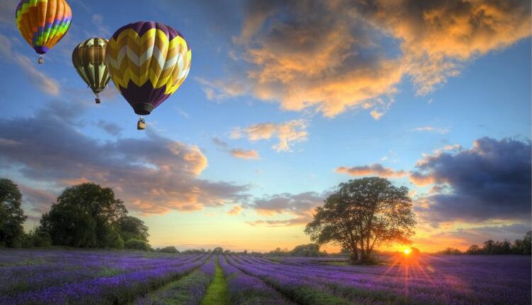 سری سی و سوم والپیپر های متنوع با کیفیت   Wallpapers