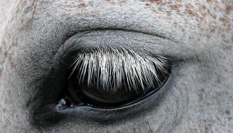 سری سی و سوم والپیپر های متنوع با کیفیت   Wallpapers