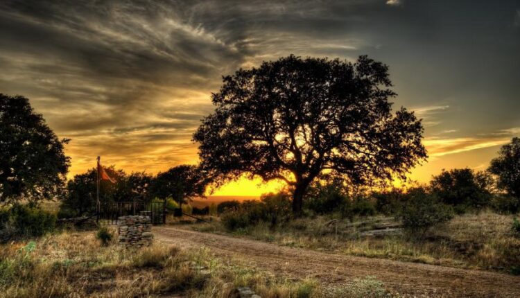 سری سی و سوم والپیپر های متنوع با کیفیت   Wallpapers