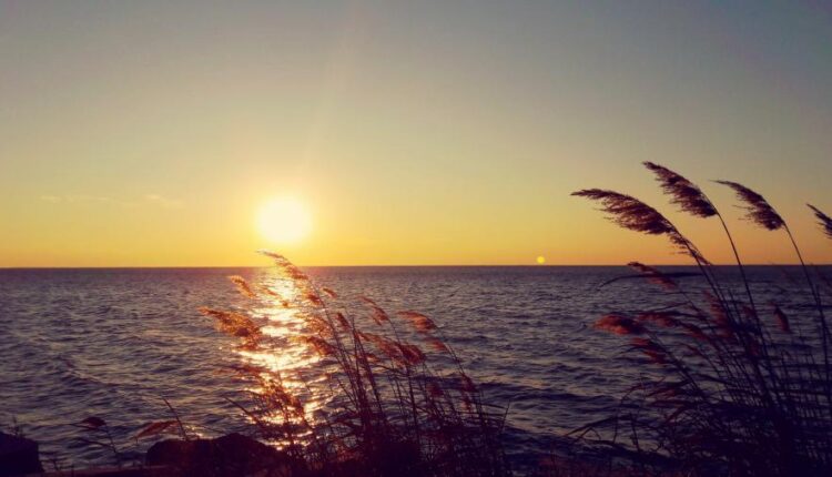 بک گراند طبیعت