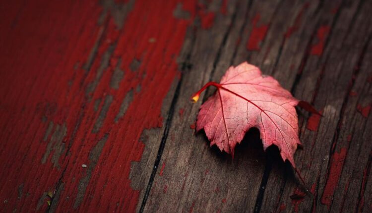 سری بیست و هفتم پس زمینه های متنوع با کیفیت   Wallpapers