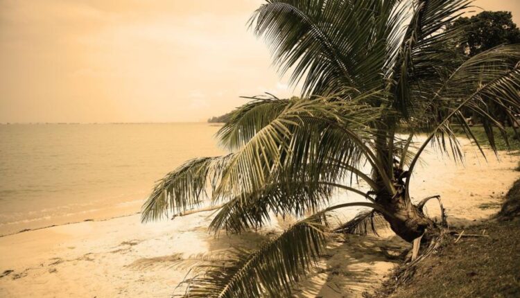 سری بیست و هفتم پس زمینه های متنوع با کیفیت   Wallpapers