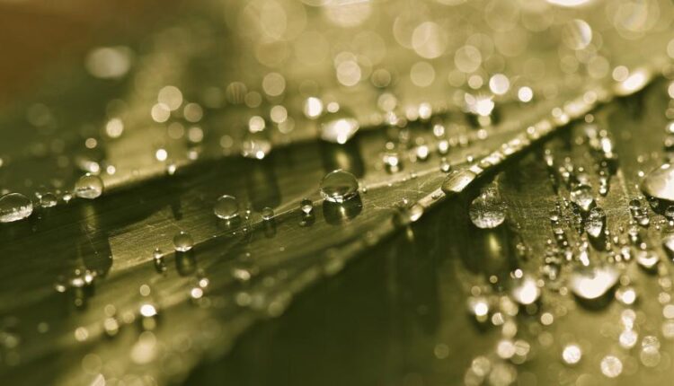 سری بیست و هفتم پس زمینه های متنوع با کیفیت   Wallpapers