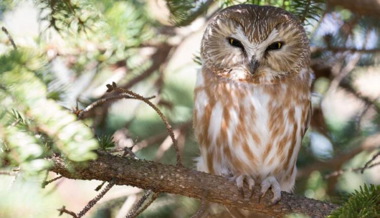 سری بیست و هفتم پس زمینه های متنوع با کیفیت   Wallpapers