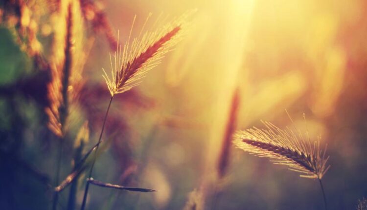 سری بیست و هفتم پس زمینه های متنوع با کیفیت   Wallpapers