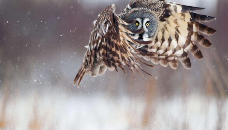 سری سی و چهارم والپیپر های متنوع و با کیفیت   Wallpapers