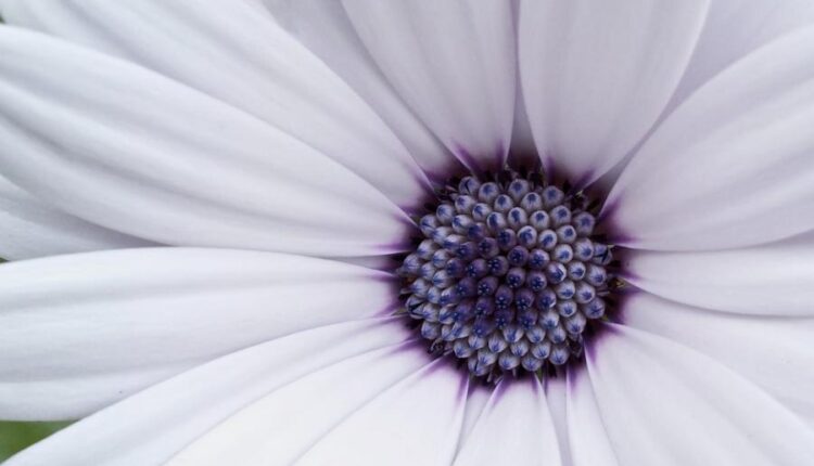 سری سی و چهارم والپیپر های متنوع و با کیفیت   Wallpapers