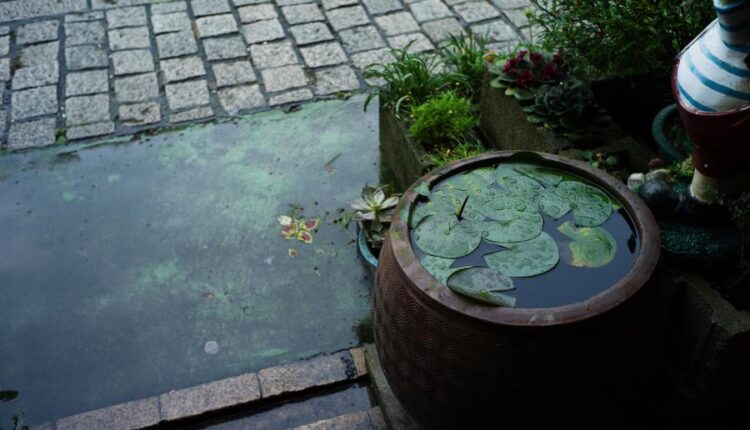 سری سی و چهارم والپیپر های متنوع و با کیفیت   Wallpapers