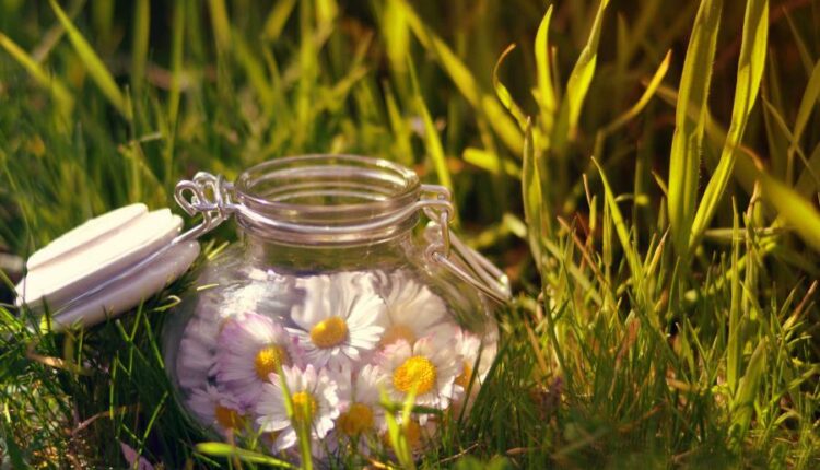 سری سی و چهارم والپیپر های متنوع و با کیفیت   Wallpapers