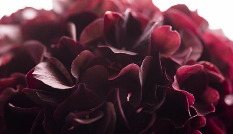 سری سی و چهارم والپیپر های متنوع و با کیفیت   Wallpapers