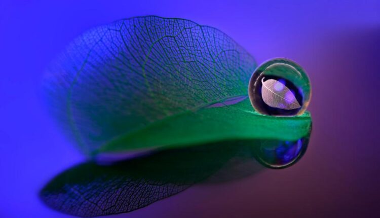 سری سی و چهارم والپیپر های متنوع و با کیفیت   Wallpapers