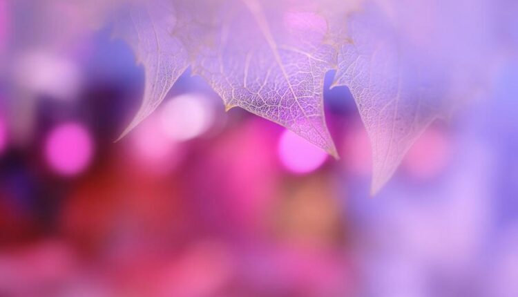 سری سی و چهارم والپیپر های متنوع و با کیفیت   Wallpapers