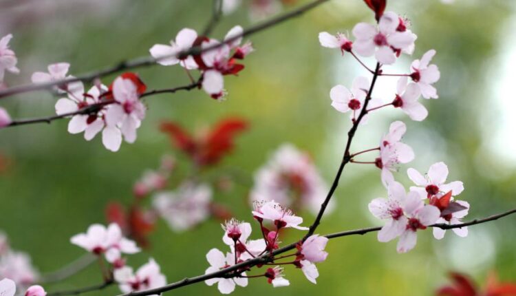 سری سی و چهارم والپیپر های متنوع و با کیفیت   Wallpapers