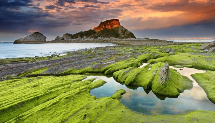 سری سی و چهارم والپیپر های متنوع و با کیفیت   Wallpapers