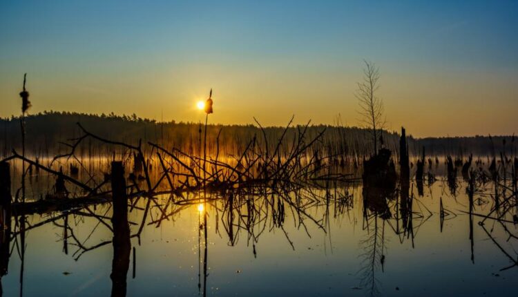 سری سی و چهارم والپیپر های متنوع و با کیفیت   Wallpapers