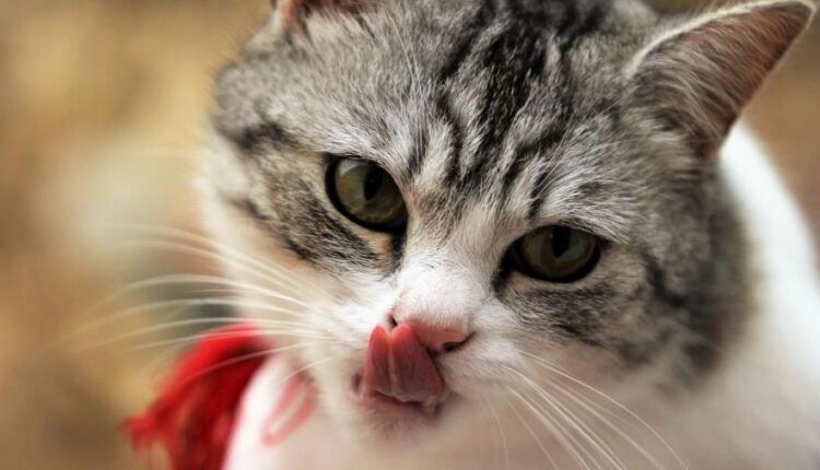 سری سی و چهارم والپیپر های متنوع و با کیفیت   Wallpapers