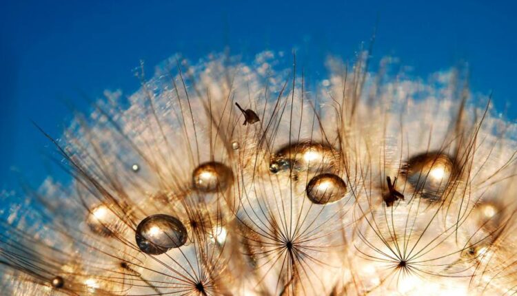 سری سی و چهارم والپیپر های متنوع و با کیفیت   Wallpapers