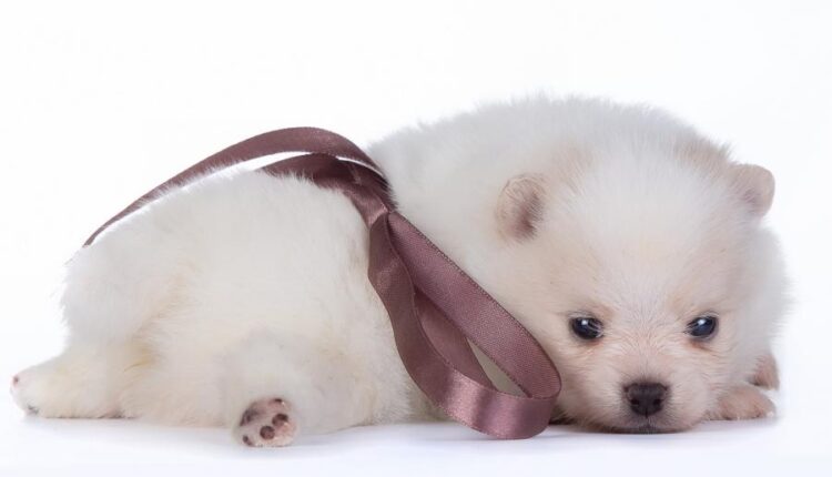 سری سی و چهارم والپیپر های متنوع و با کیفیت   Wallpapers