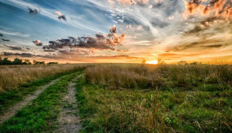 سری سی و چهارم والپیپر های متنوع و با کیفیت   Wallpapers