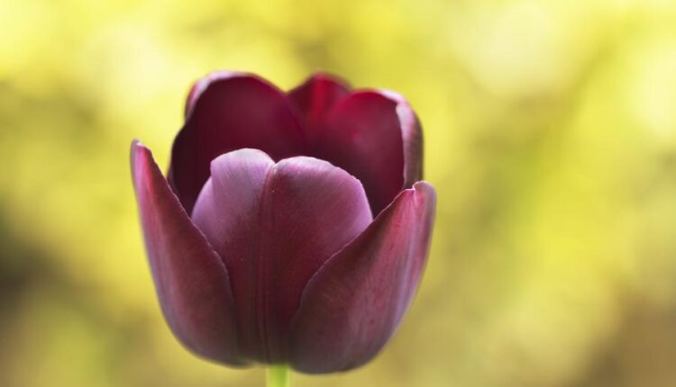 سری سی و چهارم والپیپر های متنوع و با کیفیت   Wallpapers