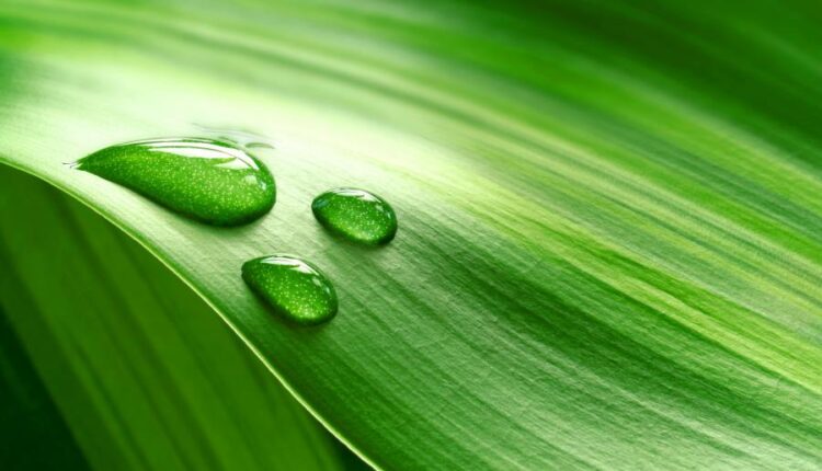 سری سی و چهارم والپیپر های متنوع و با کیفیت   Wallpapers