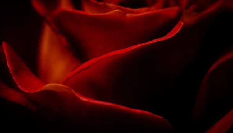 سری سی و چهارم والپیپر های متنوع و با کیفیت   Wallpapers