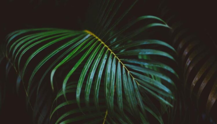 سری سی و چهارم والپیپر های متنوع و با کیفیت   Wallpapers