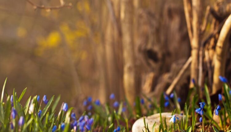 سری سی و چهارم والپیپر های متنوع و با کیفیت   Wallpapers