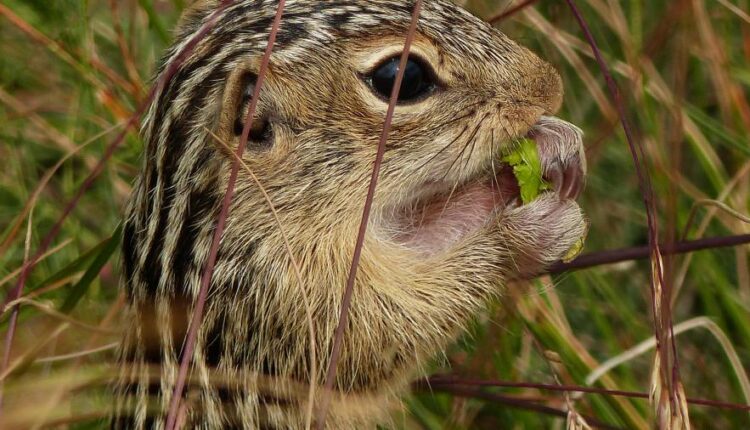 سری سی و چهارم والپیپر های متنوع و با کیفیت   Wallpapers