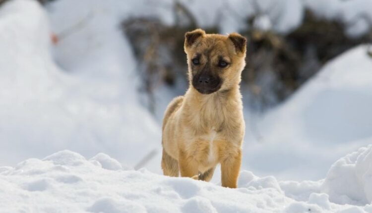 سری سی و چهارم والپیپر های متنوع و با کیفیت   Wallpapers