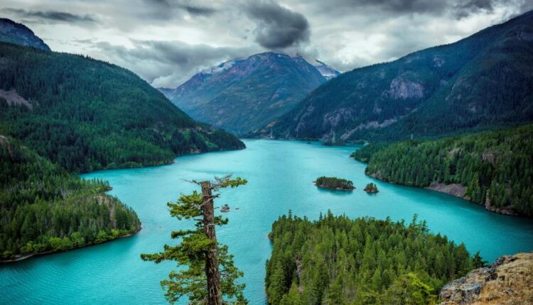 سری سی و چهارم والپیپر های متنوع و با کیفیت   Wallpapers