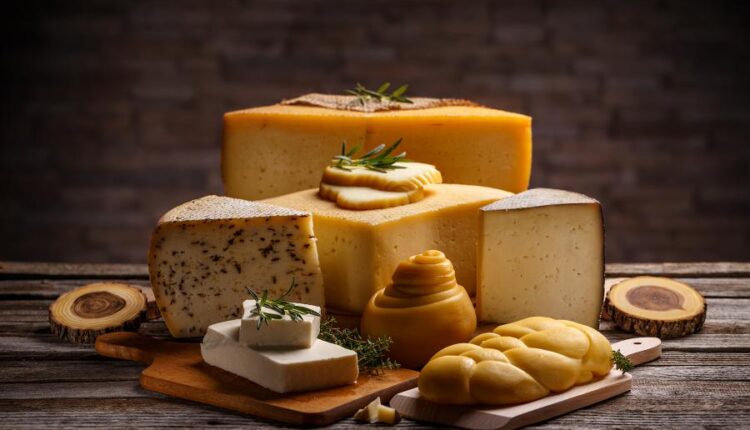 عکس های استوک نان و پنیر   Parmesan and bread