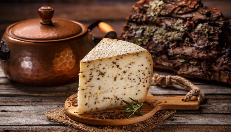 عکس های استوک نان و پنیر   Parmesan and bread