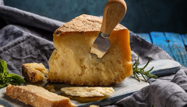 عکس های استوک نان و پنیر   Parmesan and bread