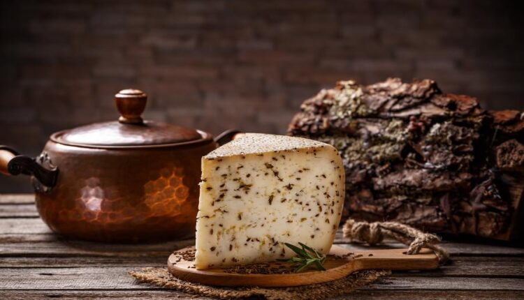 عکس های استوک نان و پنیر   Parmesan and bread