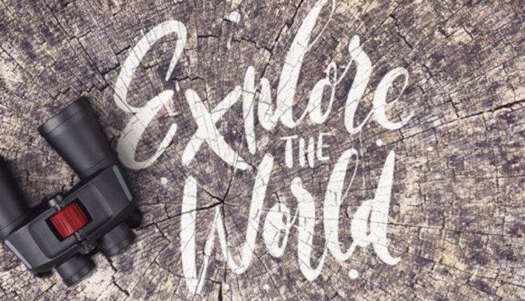 10 تکسچر با کیفیت تنه درخت   Tree Trunk Stump Textures