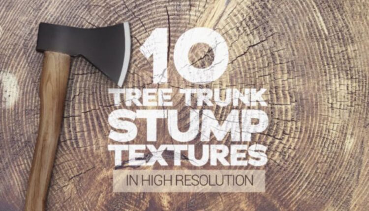 10 تکسچر با کیفیت تنه درخت   Tree Trunk Stump Textures