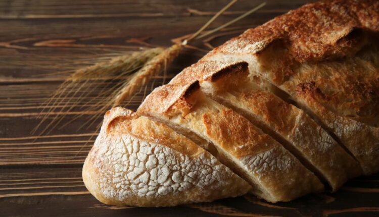 عکس های استوک نان و پنیر   Parmesan and bread
