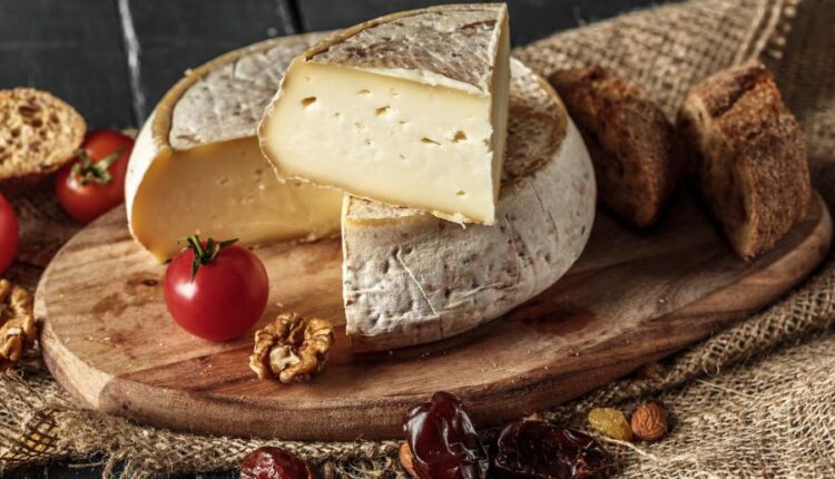 عکس های استوک نان و پنیر   Parmesan and bread