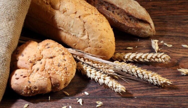 عکس های استوک نان و پنیر   Parmesan and bread