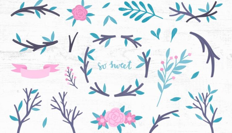 تصویر سازی خانواده کوالا   Koala Family Illustrations