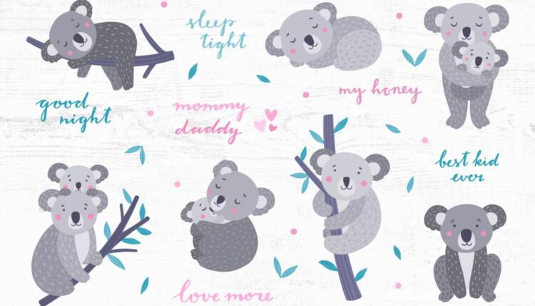 تصویر سازی خانواده کوالا   Koala Family Illustrations